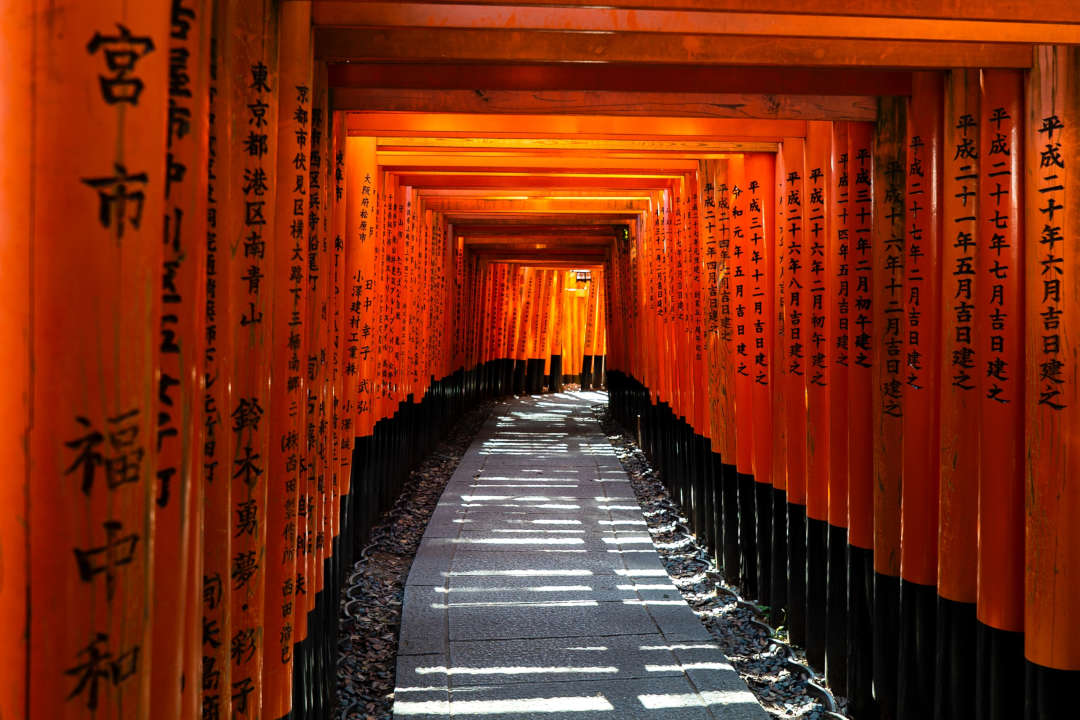 Fushimi Inari Shine
