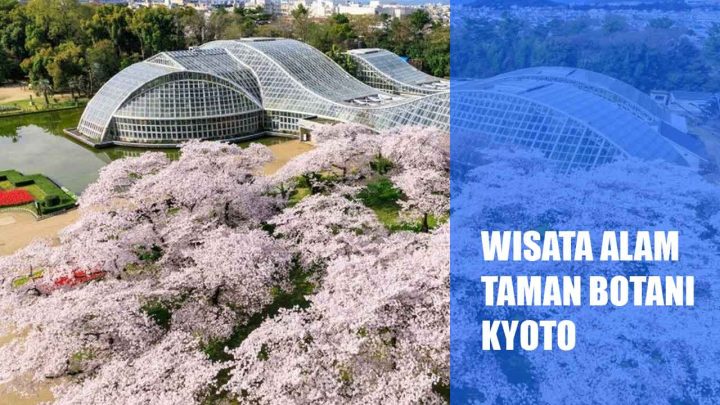 Nikmati Liburan Di Kyoto Dengan Mengunjungi Wisata Alam Taman Botani