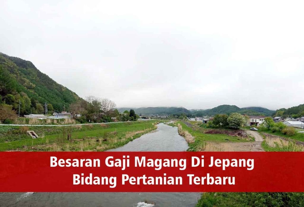 Estimasi Gaji Pertanian Di Jepang | TANOGAIDO