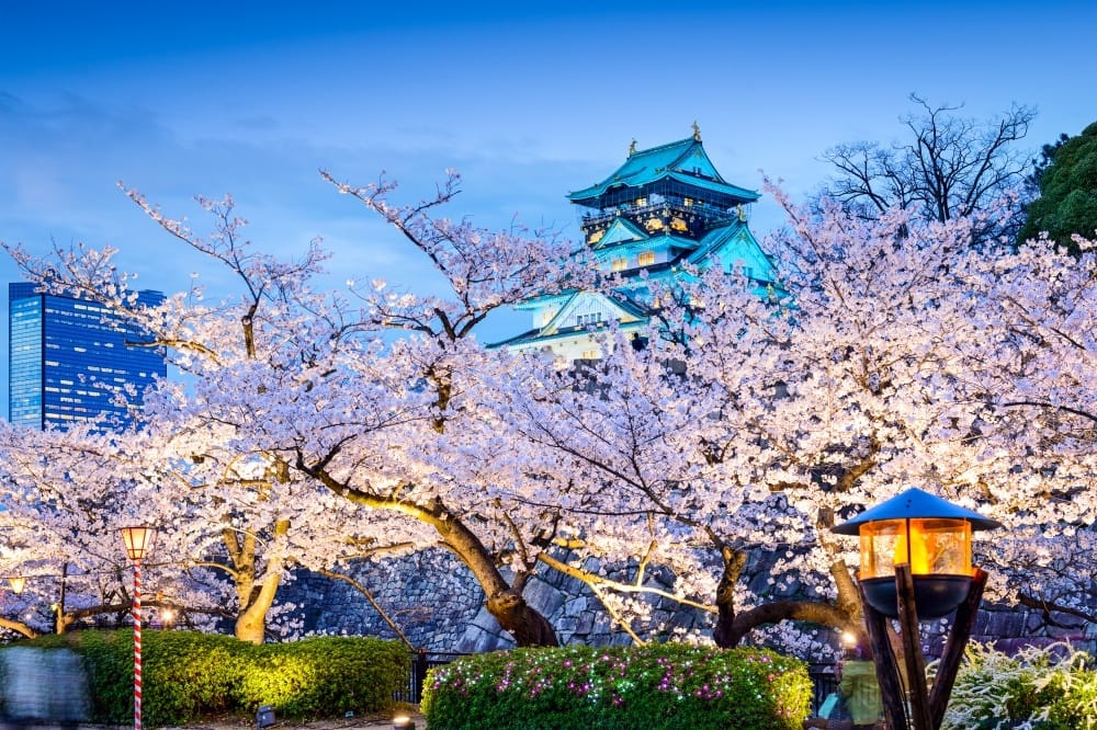 Cherry blossom Osaka