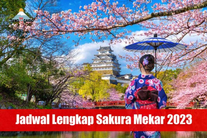Jadwal Lengkap Sakura Mekar 2023