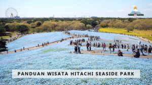 Panduan Wisata Hitachi Seaside Park