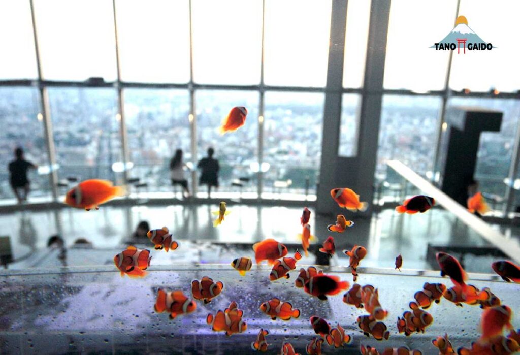 Sky Aquarium Roppongi Hills