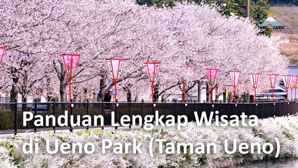 ueno sakura air force 1
