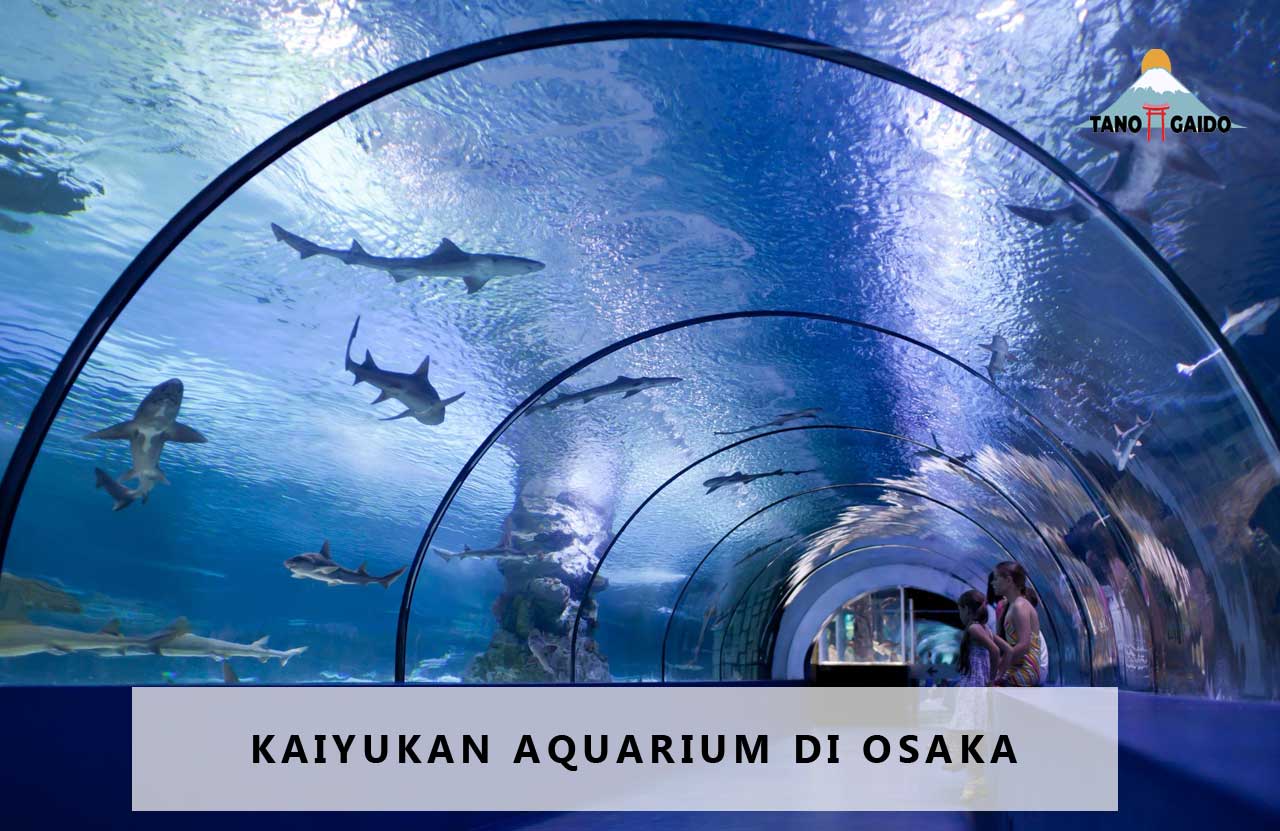 Kaiyukan Aquarium di Osaka