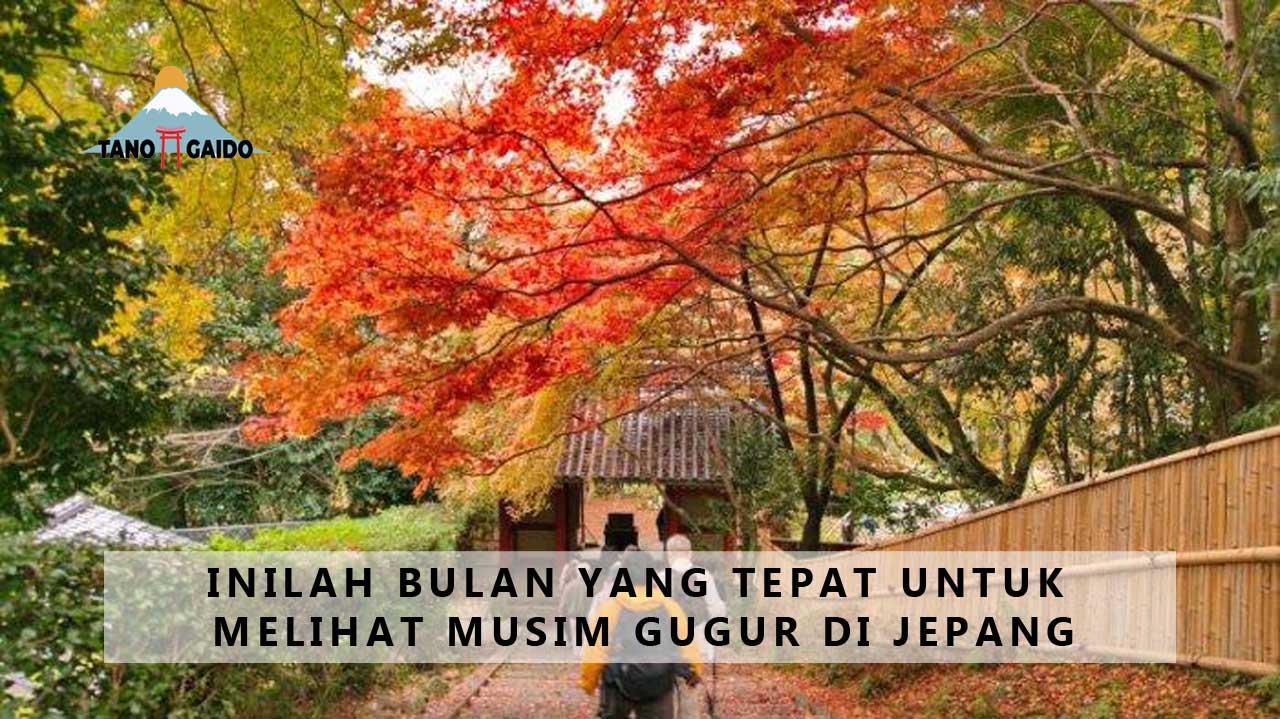 Waktu Yang Tepat Untuk Wisata Musim Gugur Di Jepang | Tanogaido