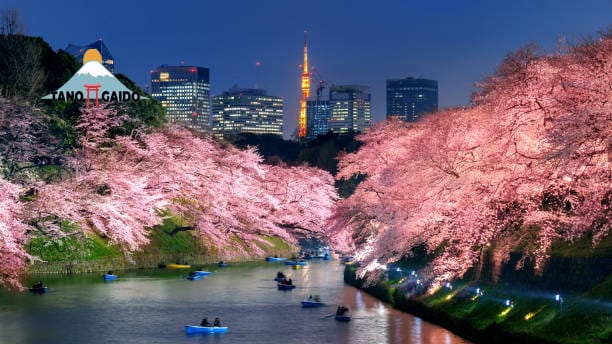 Taman Chidorigafuchi