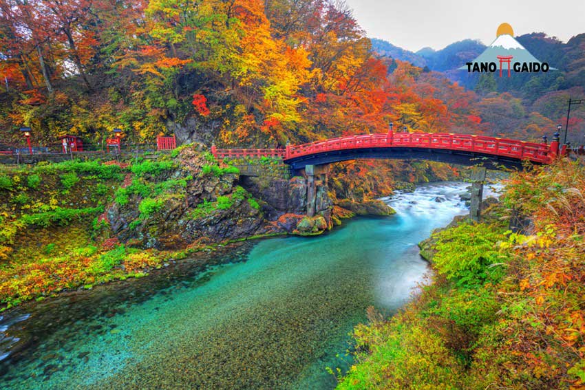 Taman Nikko, Salah Satu Taman Nasional di Jepang
