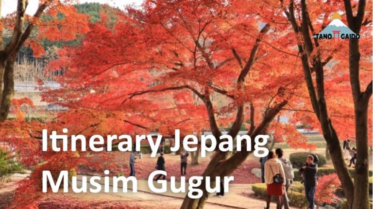 [Update 2024] Informasi Wisata Musim Gugur Di Jepang | Tanogaido