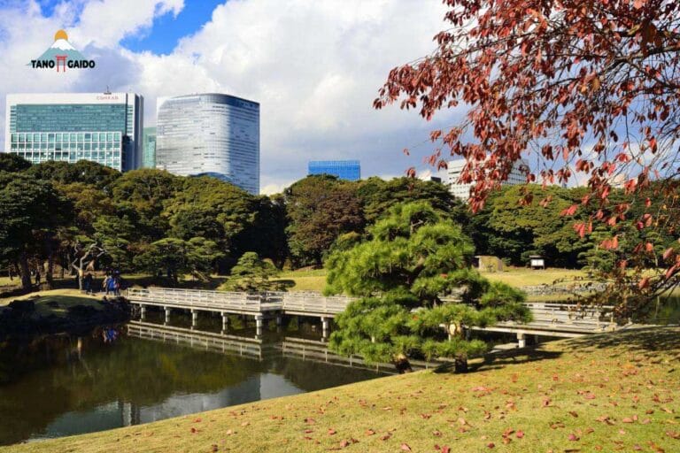 Tempat Wisata Di Tokyo Saat Musim Gugur | Tanogaido