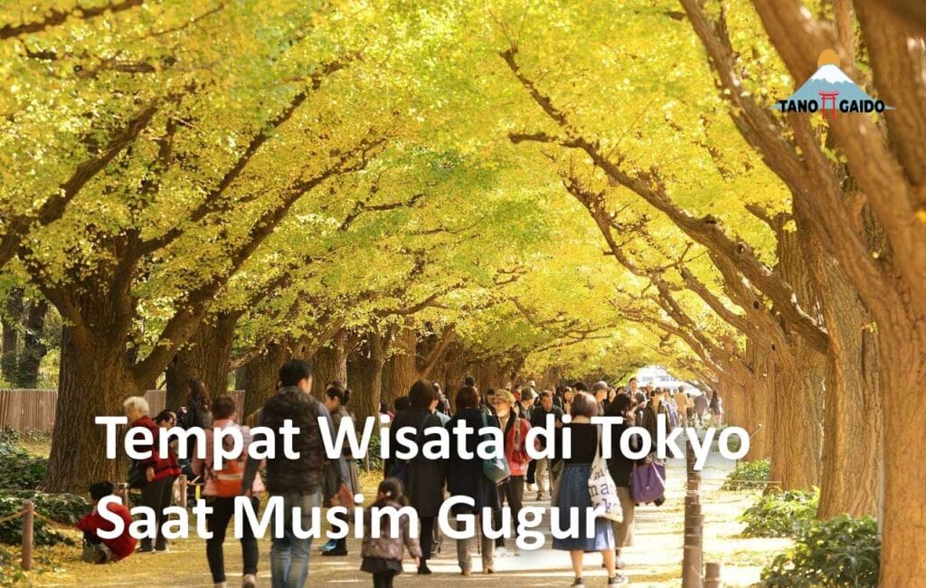 Tempat Wisata Di Tokyo Saat Musim Gugur | Tanogaido