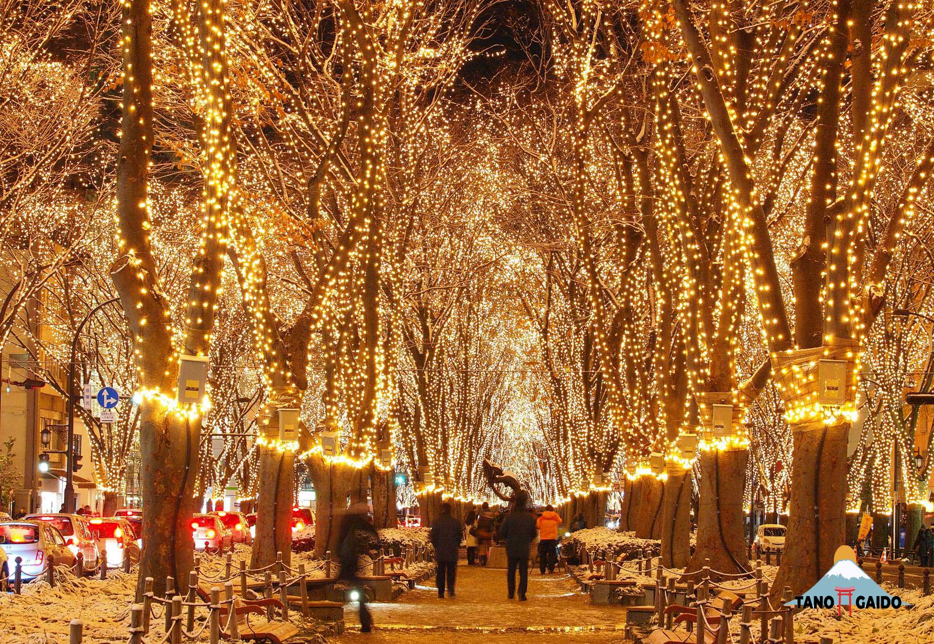 Keindahan Iluminasi Sendai Hikari Pageant | Wisata Jepang Keindahan Iluminasi Sendai Hikari Pageant | Wisata Jepang