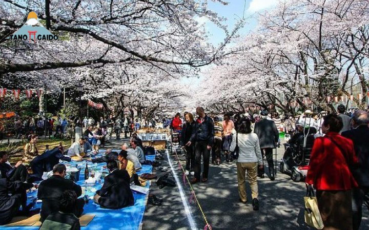 Wisata Populer Jepang yang Terkenal Sesuai Musimnya