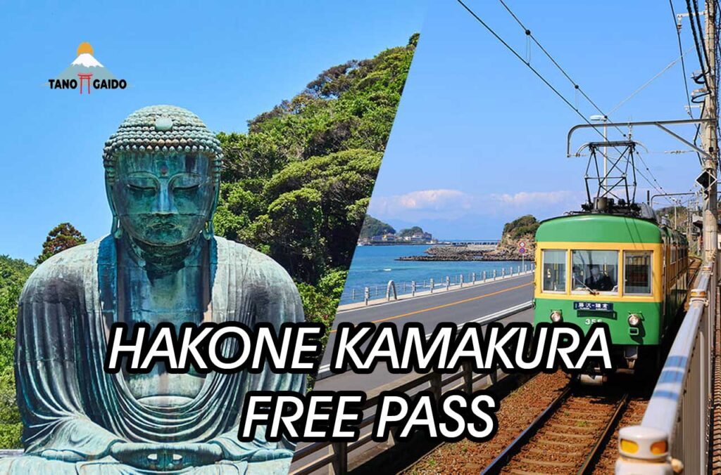 Hakone Kamakura Free Pass