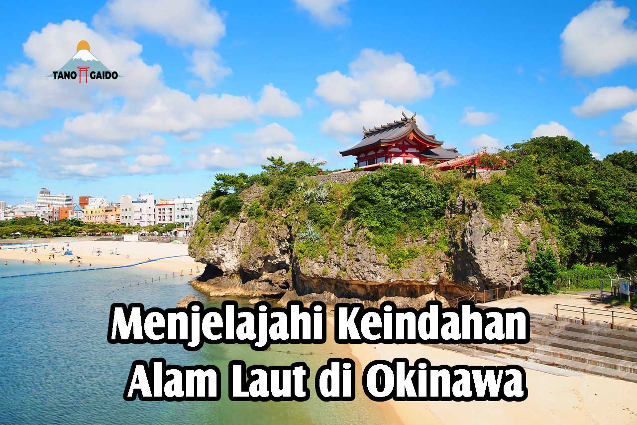 Menjelajahi Keindahan Alam Laut di Okinawa