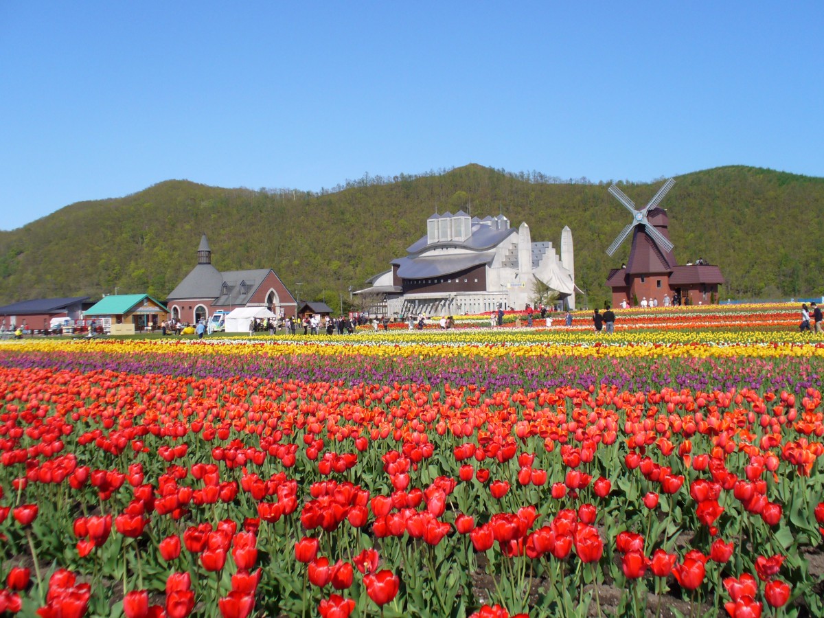 Taman Tulip Kamiyubetsu
