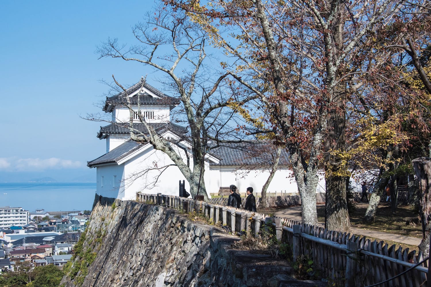 Jelajahi Pesona Keindahan Hikone Castle | TANOGAIDO